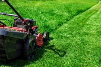 Lawn Care & Maintenance service image