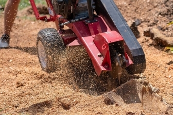 Stump Grinding & Land Clearing service image