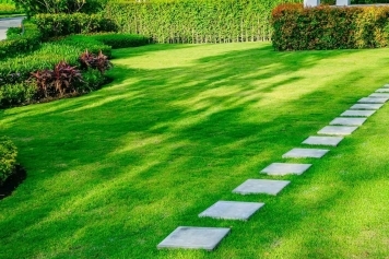 blog image Eco-Friendly Landscaping: Sustainable Practices for a Greener Yard