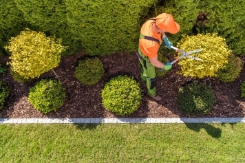 Tree Trimming & Pruning service image