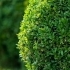 How to Prepare Your Yard for Spring: Essential Landscaping Tips related image