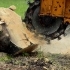 Why Stump Grinding is Essential After Tree Removal related image