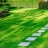 Eco-Friendly Landscaping: Sustainable Practices for a Greener Yard related image