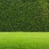 Lawn Care 101: Tips for a Greener, Healthier Lawn Year-Round related image